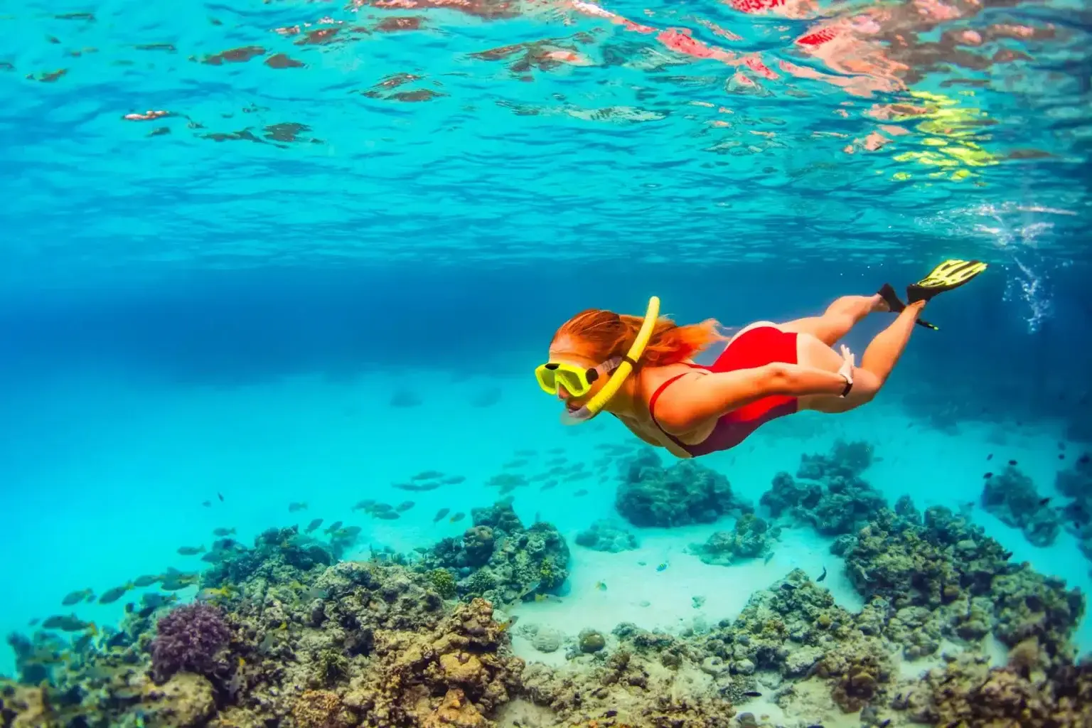 Nassau Snorkelling Tours